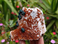 Natural Ball Malachite and Drusy Quartz On Dolomite Matrix Specimens x 6 From Mindingi Mine, Kambove, Congo