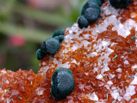 Natural Ball Malachite and Drusy Quartz On Dolomite Matrix Specimens x 6 From Mindingi Mine, Kambove, Congo