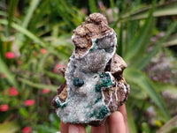 Natural Ball Malachite and Drusy Quartz On Dolomite Matrix Specimens x 6 From Mindingi Mine, Kambove, Congo