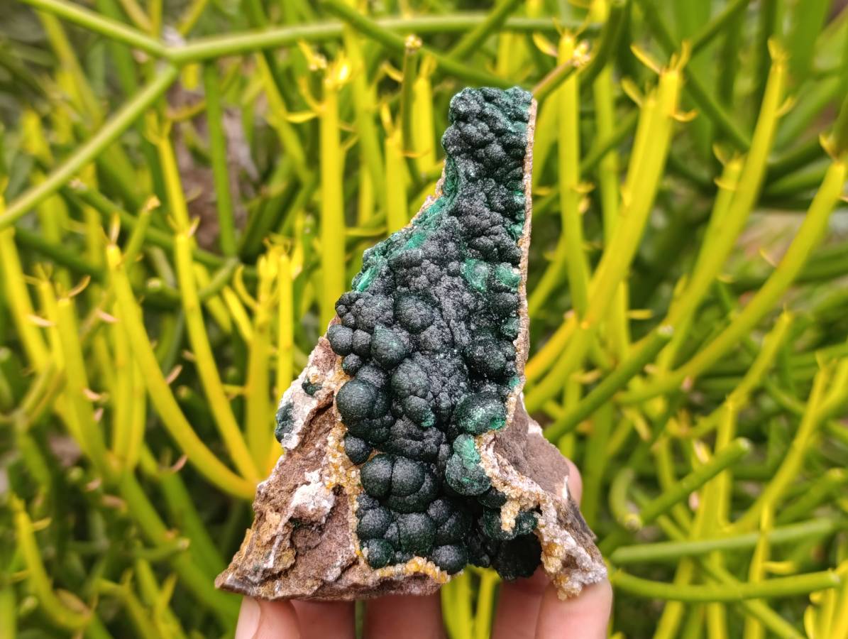 Natural Ball Malachite and Drusy Quartz On Dolomite Matrix Specimens x 2 From Mindingi Mine, Kambove, Congo - Toprock Gemstones and Minerals 