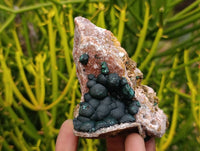 Natural Ball Malachite and Drusy Quartz On Dolomite Matrix Specimens x 2 From Mindingi Mine, Kambove, Congo