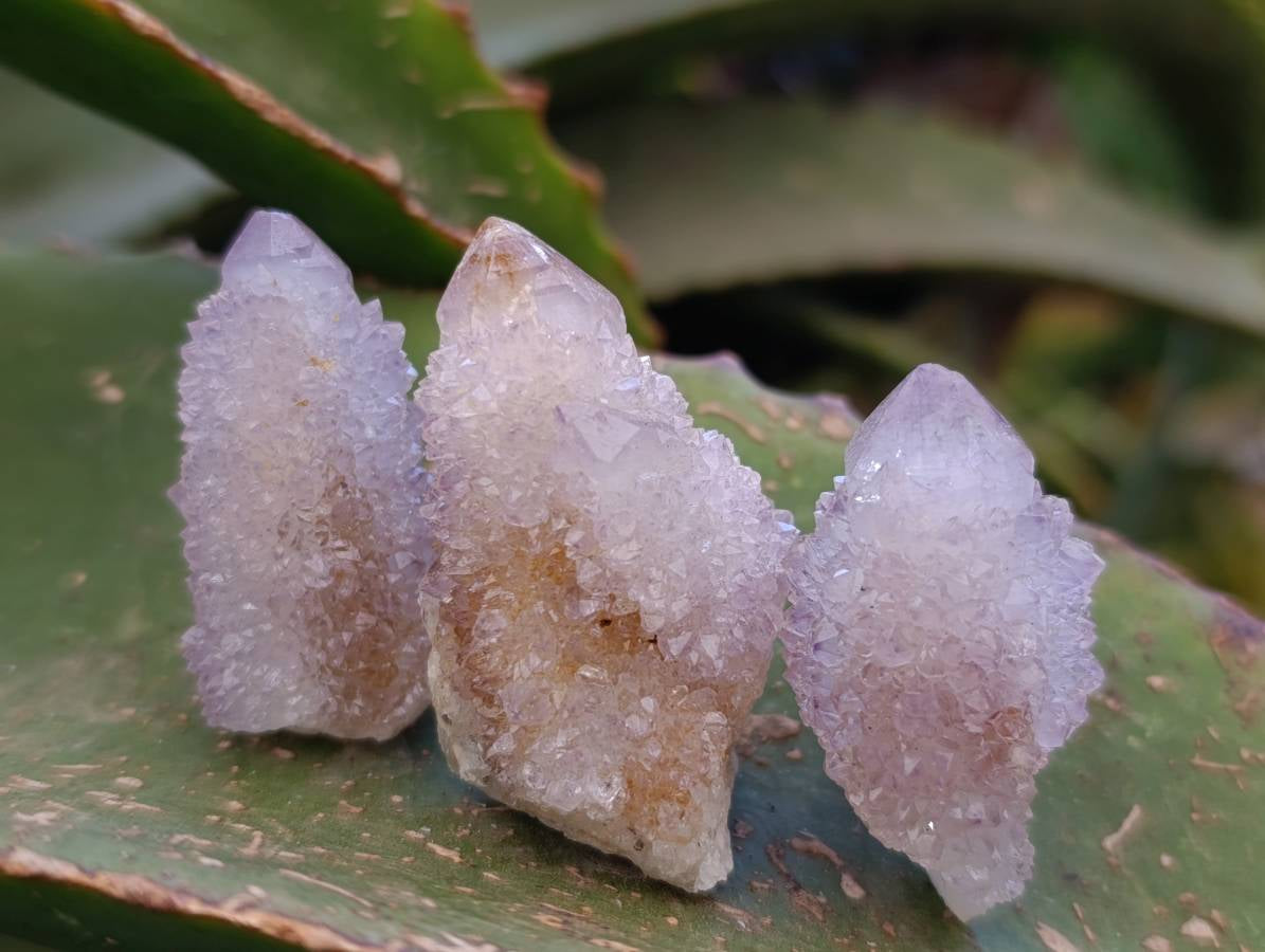 Natural Amethyst Spirit Quartz Crystals x 35 From Boekenhouthoek, South Africa - Toprock Gemstones and Minerals 