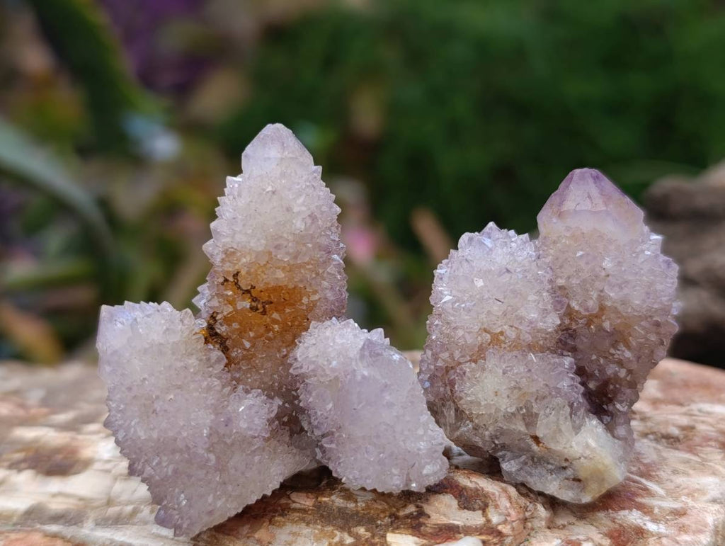 Natural Amethyst Spirit Quartz Crystals x 35 From Boekenhouthoek, South Africa - Toprock Gemstones and Minerals 