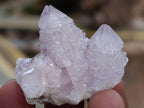 Natural Amethyst Spirit Quartz Crystals x 35 From Boekenhouthoek, South Africa - Toprock Gemstones and Minerals 