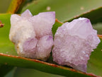 Natural Amethyst Spirit Quartz Crystals x 35 From Boekenhouthoek, South Africa - Toprock Gemstones and Minerals 