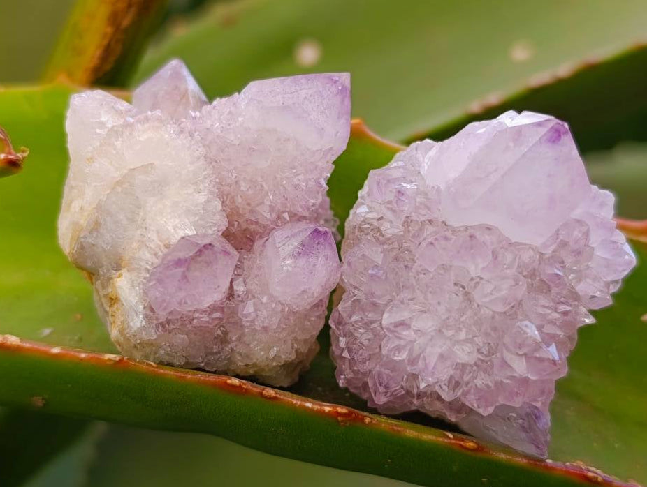 Natural Amethyst Spirit Quartz Crystals x 35 From Boekenhouthoek, South Africa - Toprock Gemstones and Minerals 