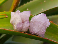 Natural Amethyst Spirit Quartz Crystals x 35 From Boekenhouthoek, South Africa