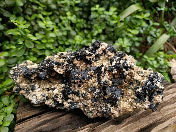 Natural Schorl Black Tourmaline with Mica x 1 From Erongo, Namibia
