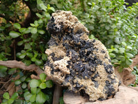 Natural Schorl Black Tourmaline with Mica x 1 From Erongo, Namibia