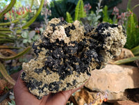 Natural Schorl Black Tourmaline with Mica x 1 From Erongo, Namibia