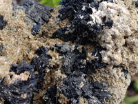Natural Schorl Black Tourmaline with Mica x 1 From Erongo, Namibia