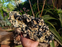 Natural Schorl Black Tourmaline with Mica x 1 From Erongo, Namibia
