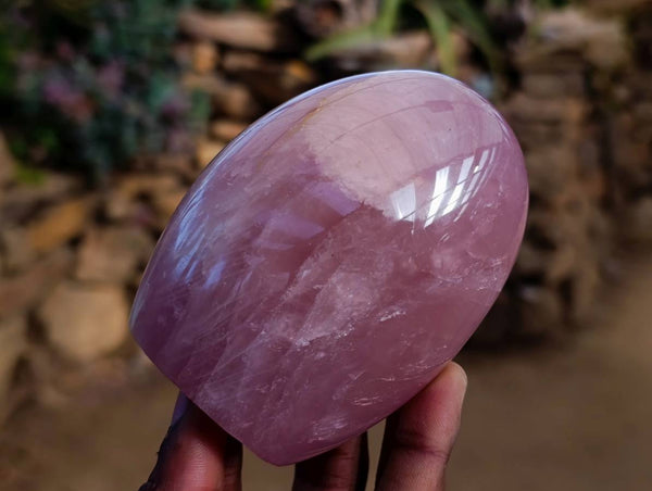 Polished Rose Quartz Standing Free Form x 4 From Madagascar