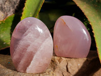 Polished Rose Quartz Standing Free Form x 4 From Madagascar
