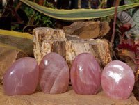 Polished Rose Quartz Standing Free Form x 4 From Madagascar