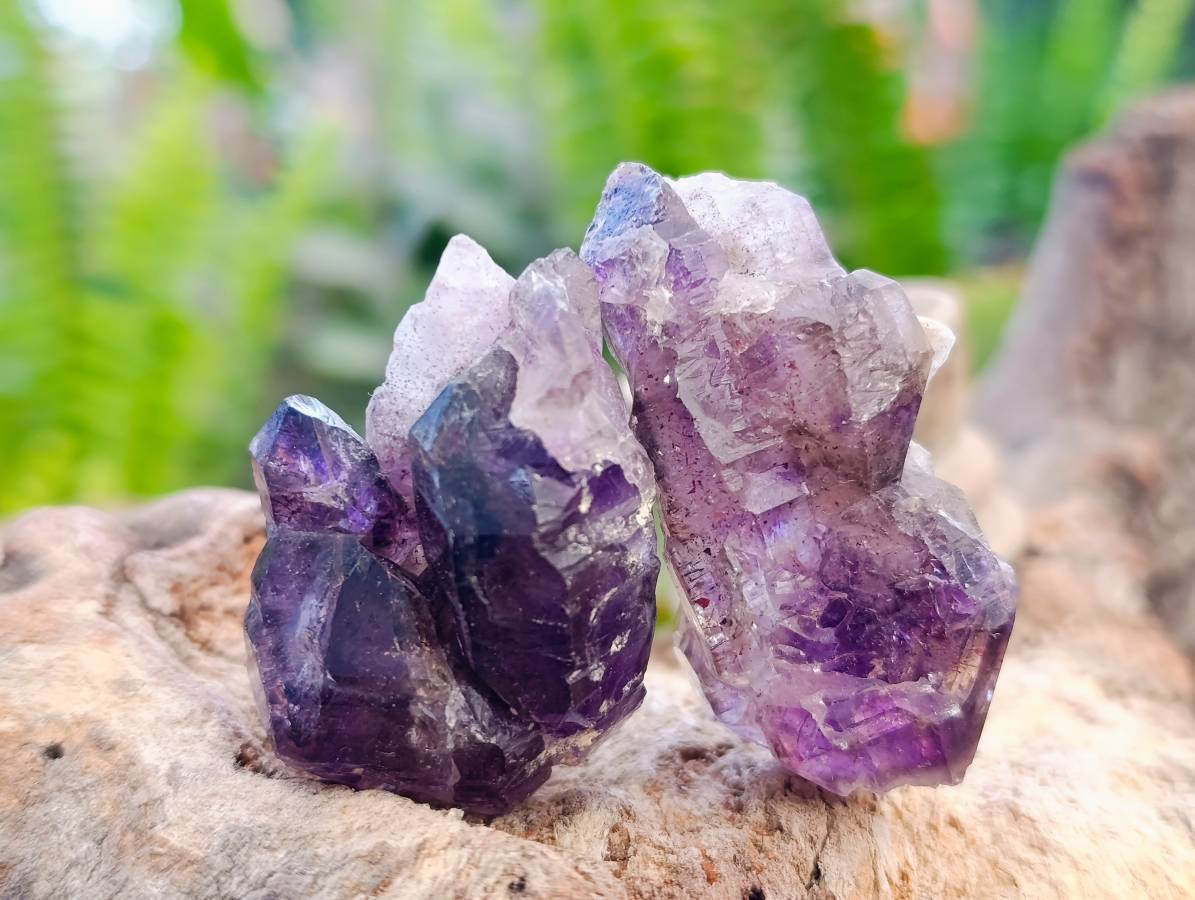 Natural Window Amethyst Crystals x 12 From Chiredzi, Zimbabwe - Toprock Gemstones and Minerals 