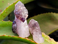 Natural Window Amethyst Crystals x 12 From Chiredzi, Zimbabwe