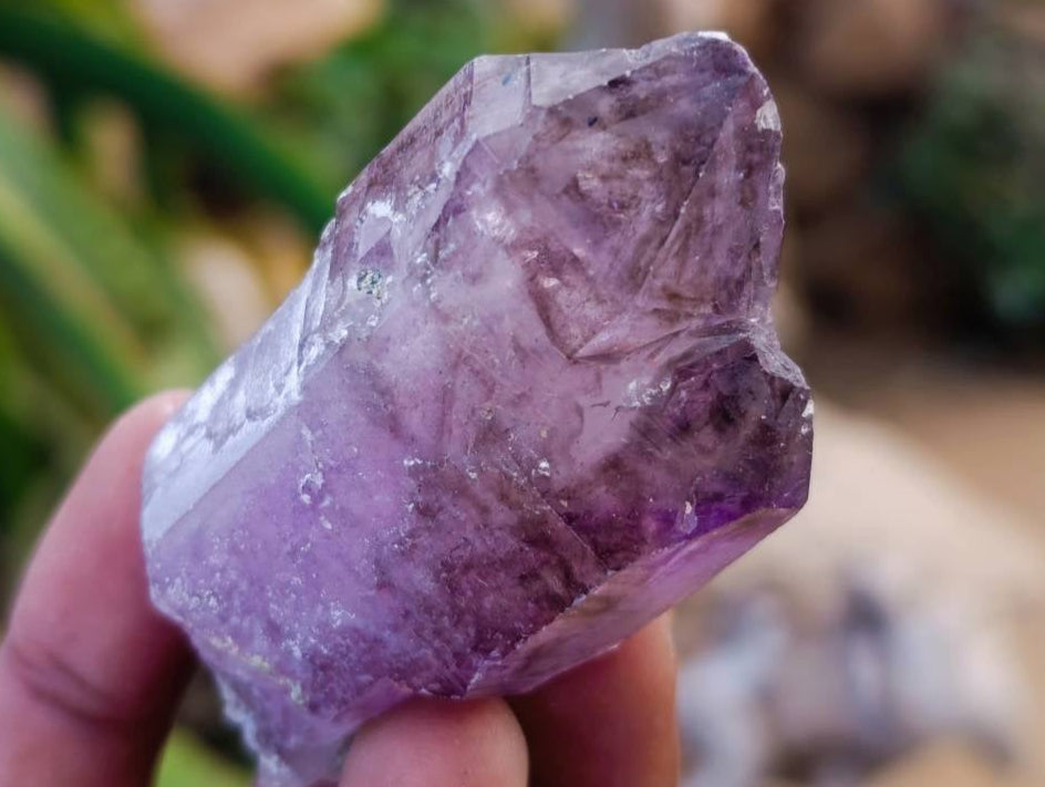 Natural Window Amethyst Crystals x 12 From Chiredzi, Zimbabwe - Toprock Gemstones and Minerals 