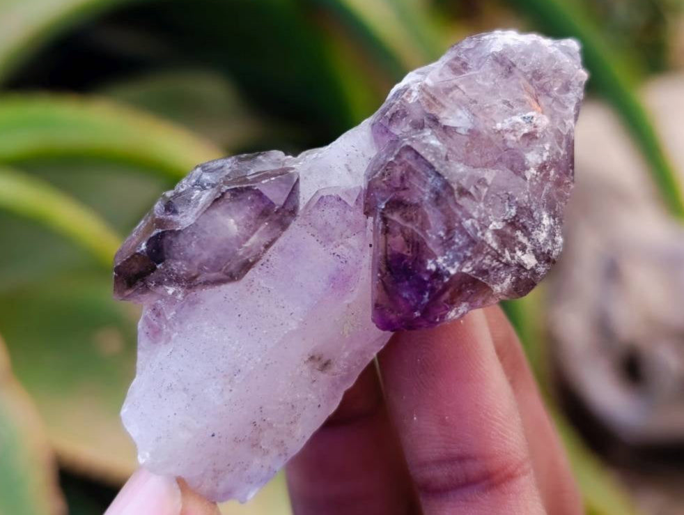 Natural Window Amethyst Crystals x 12 From Chiredzi, Zimbabwe - Toprock Gemstones and Minerals 