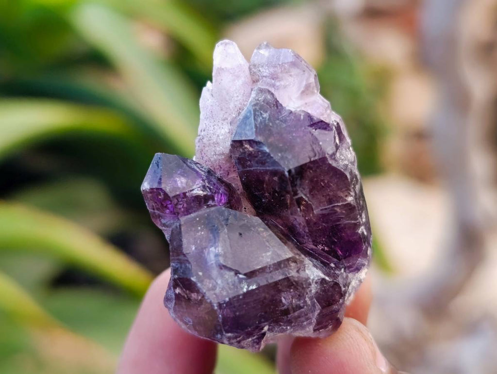 Natural Window Amethyst Crystals x 12 From Chiredzi, Zimbabwe - Toprock Gemstones and Minerals 