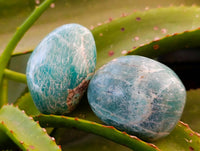 Polished Amazonite Palm Stones x 12 From Madagascar