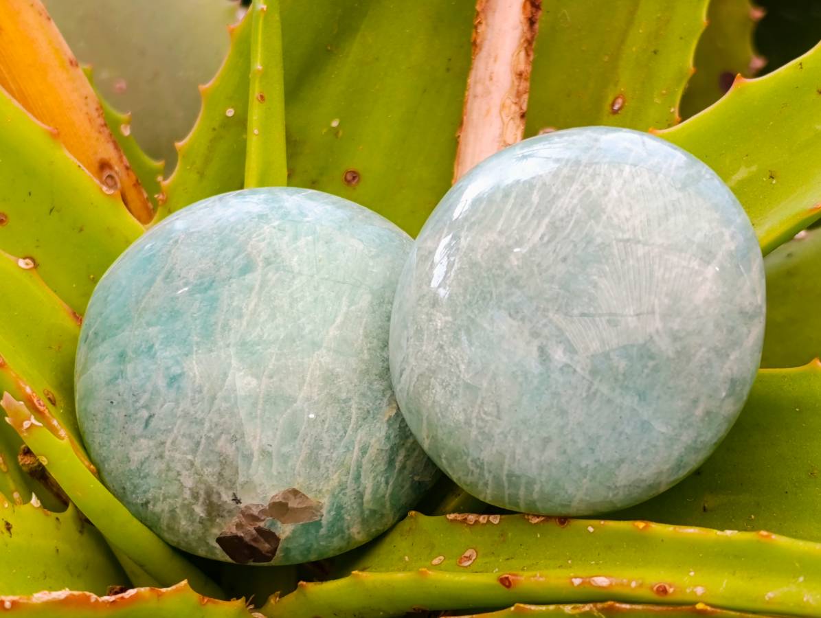 Polished Amazonite Palm Stones x 12 From Madagascar - Toprock Gemstones and Minerals 