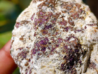 Natural Metallic Purpurite Specimens x 10 From Erongo, Namibia