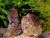 Natural Metallic Purpurite Specimens x 10 From Erongo, Namibia