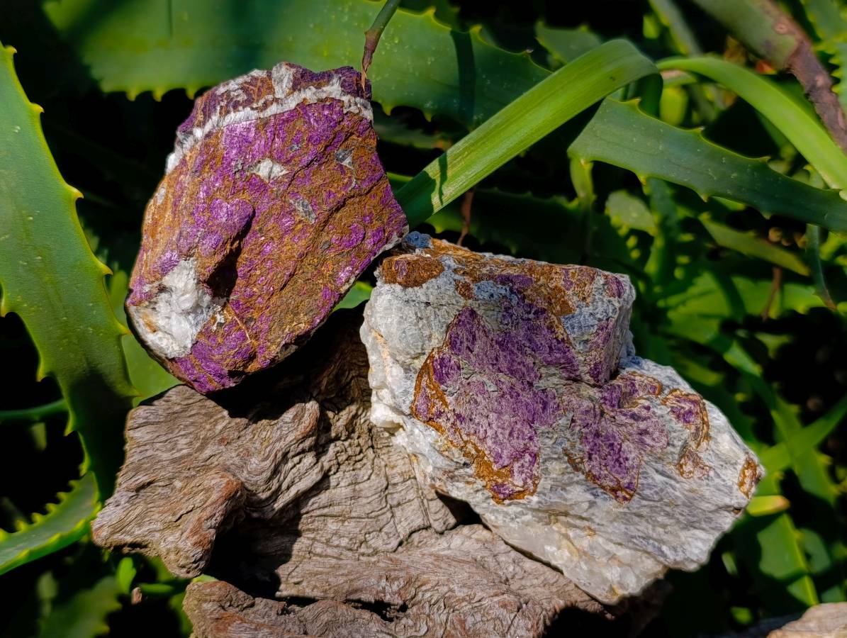 Natural Metallic Purpurite Specimens x 10 From Erongo, Namibia - Toprock Gemstones and Minerals 