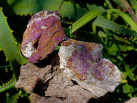 Natural Metallic Purpurite Specimens x 10 From Erongo, Namibia