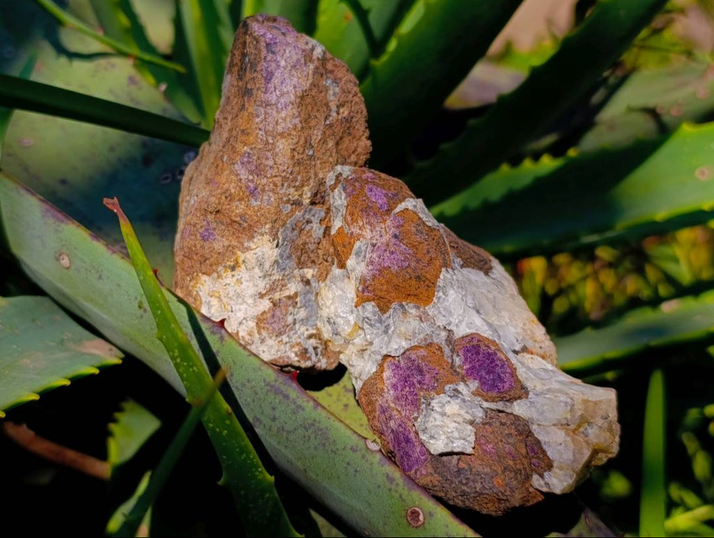 Natural Metallic Purpurite Specimens x 10 From Erongo, Namibia - Toprock Gemstones and Minerals 