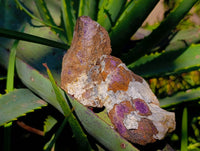 Natural Metallic Purpurite Specimens x 10 From Erongo, Namibia