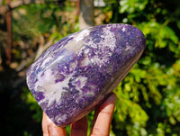 Polished Lepidolite Standing Free Forms x 2 From Madagascar