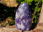 Polished Lepidolite Standing Free Forms x 2 From Madagascar - Toprock Gemstones and Minerals 