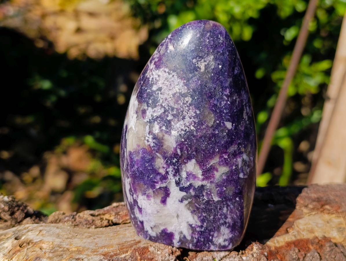 Polished Lepidolite Standing Free Forms x 2 From Madagascar - Toprock Gemstones and Minerals 