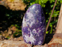 Polished Lepidolite Standing Free Forms x 2 From Madagascar