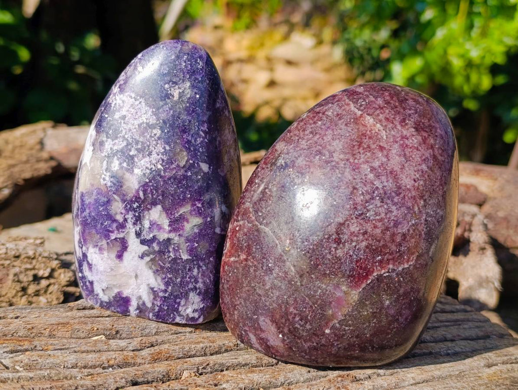 Polished Lepidolite Standing Free Forms x 2 From Madagascar - Toprock Gemstones and Minerals 