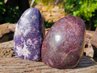 Polished Lepidolite Standing Free Forms x 2 From Madagascar