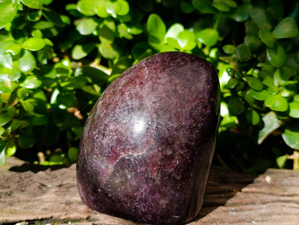 Polished Lepidolite Standing Free Forms x 2 From Madagascar - Toprock Gemstones and Minerals 