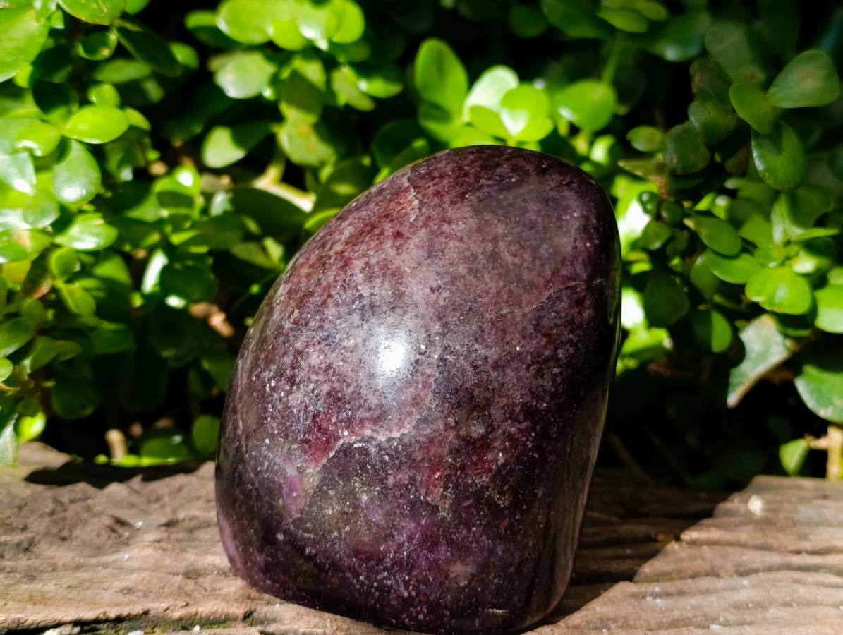 Polished Lepidolite Standing Free Forms x 2 From Madagascar - Toprock Gemstones and Minerals 