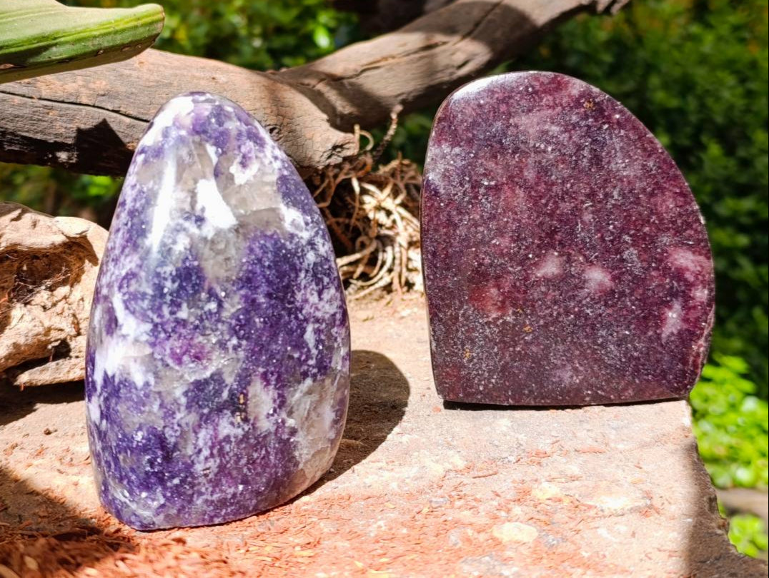Polished Lepidolite Standing Free Forms x 2 From Madagascar - Toprock Gemstones and Minerals 