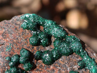 Natural Ball Malachite and Drusy Quartz On Dolomite Matrix Specimens x 6 From Mindingi Mine, Kambove, Congo