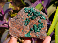 Natural Ball Malachite and Drusy Quartz On Dolomite Matrix Specimens x 6 From Mindingi Mine, Kambove, Congo