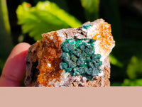 Natural Ball Malachite and Drusy Quartz On Dolomite Matrix Specimens x 6 From Mindingi Mine, Kambove, Congo