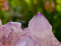 Natural Amethyst Spirit Quartz Clusters x 3 From Boekenhouthoek, South Africa