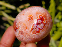 Polished Carnelian Agate Gemstone Galets x 20 From Madagascar