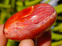 Polished Carnelian Agate Gemstone Galets x 20 From Madagascar