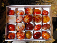Polished Carnelian Agate Gemstone Galets x 20 From Madagascar