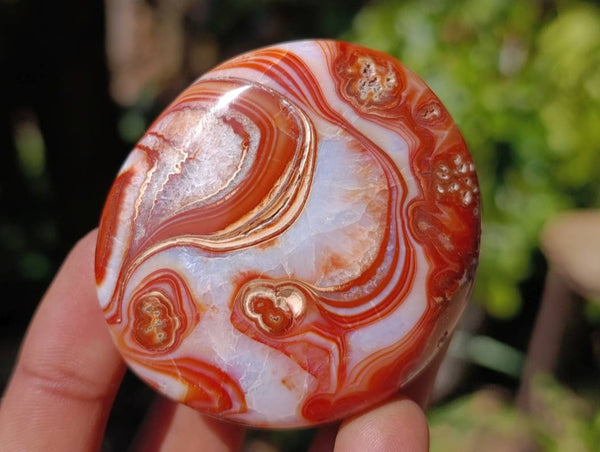 Polished Carnelian Agate Gemstone Galets x 20 From Madagascar