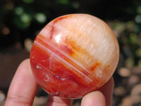 Polished Carnelian Agate Gemstone Galets x 20 From Madagascar